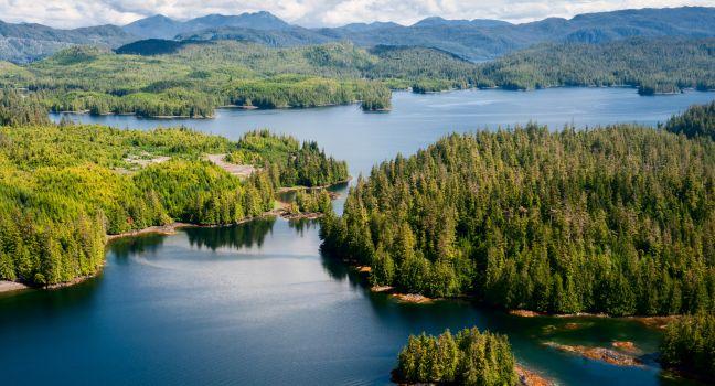 Alaska Prince of Wales island aerial view from floatplane.
