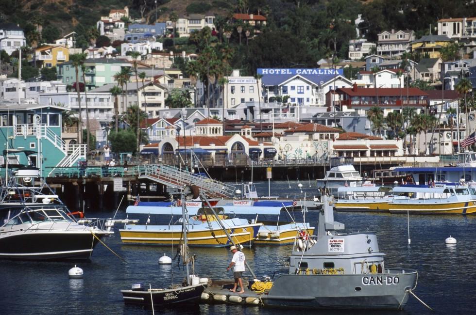Harbor, Catalina, Orange County and Catalina Island, California, USA