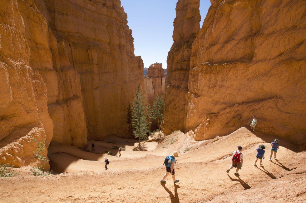 BRYCE CANYON, UTAH - SEPTEMBER 23: Hikers at Queens Garden trial at Bryce Canyon National Park in Utah on September 23, 2014