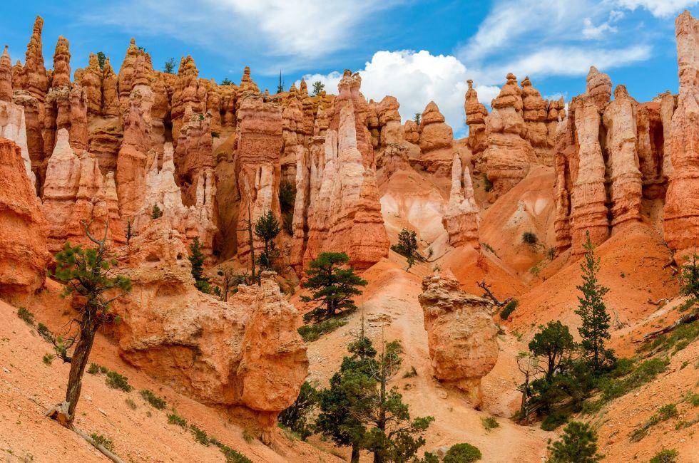 Hoodos of Queens Stone Garden, Bryce Canyon National Park, Utah