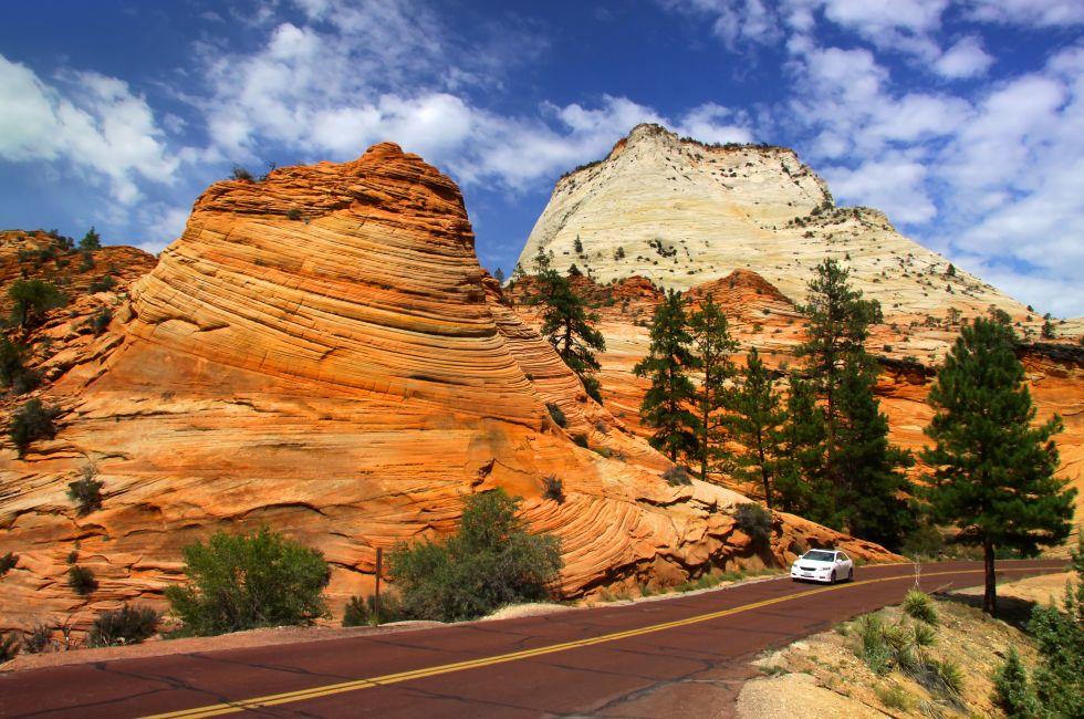 Scenic drive in Zion national park