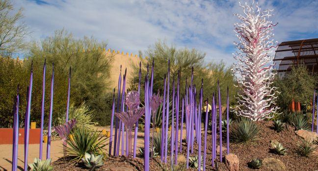 PHOENIX, ARIZONA,USA-DECEMBER 10: A Chihuly glass artwork sits amid desert landscape in Phoenix on December 10, 2013. The Chihuly exhibit is open to the public until May.; 