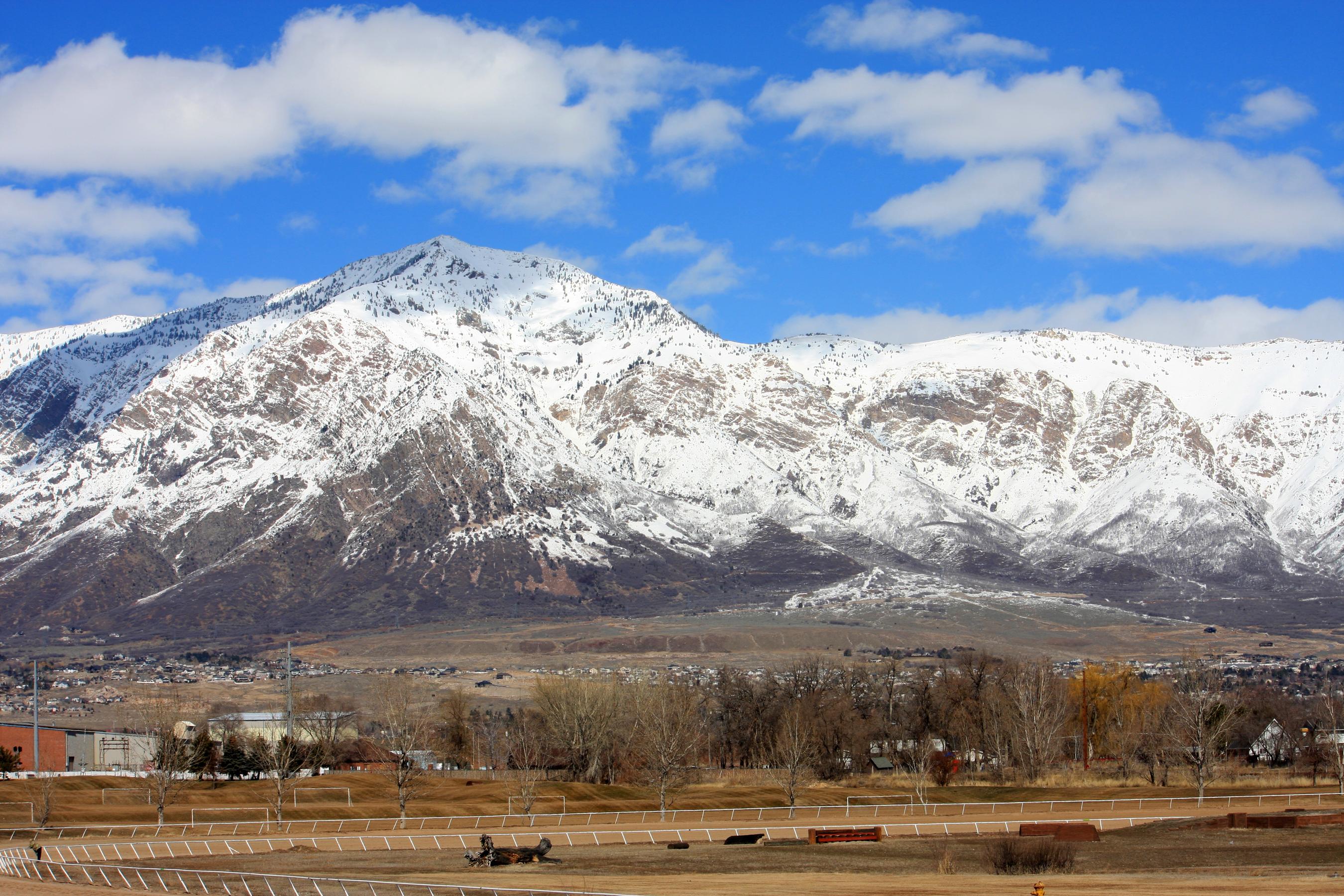 Ogden