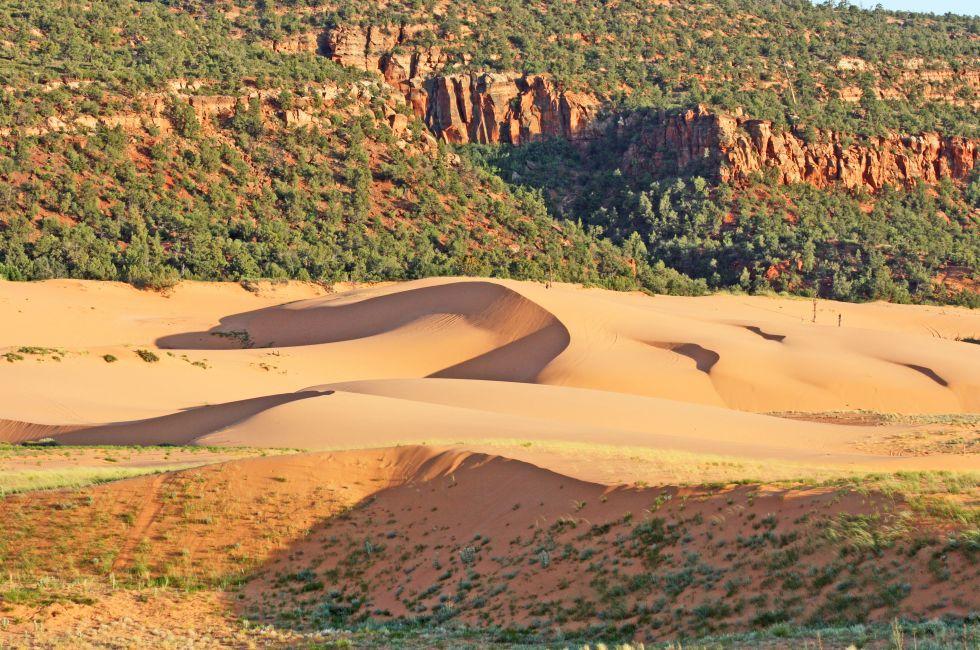 Landscape in Coral Pink Sand Dunes State Park, Utah