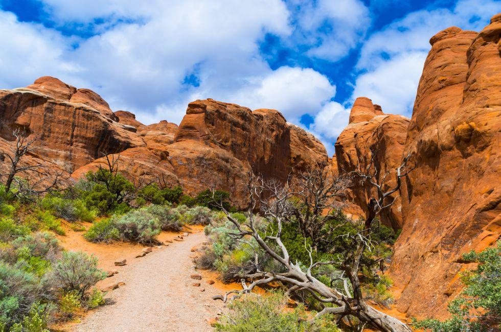 Devils Garden Primitive Loop Trail - Arches National Park Moab Utah