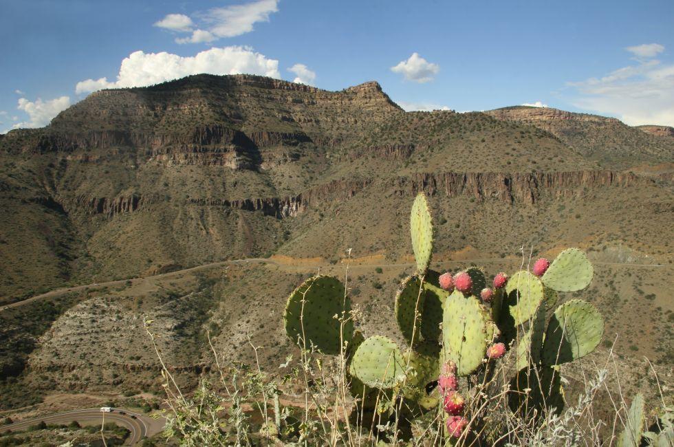 Prickly Pear Cactus and Winding Mountain Road - Holbrook, Arizona.