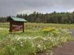 ALPINE, ARIZONA, JULY 16. Hannagan Meadow Lodge on July 16, 2015, near Alpine, Arizona. The entrance sign to historic Hannagan Meadow Lodge near Alpine in Arizona.