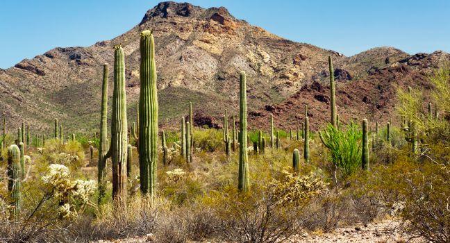 The national monument is far from other popular tourist sites and is relatively little visited.