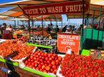 Summer crowds check out the fresh fruit and other items available at the Farmer's Market on Pier 39, located at the edge of famous Fisherman’s Wharf and the Embarcadero along San Francisco’s historic waterfront. Hugely popular, it is one of t