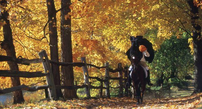 Headless Horseman, Historic Hudson Valley, Sleepy Hollow, Philipsburg Manor, NY