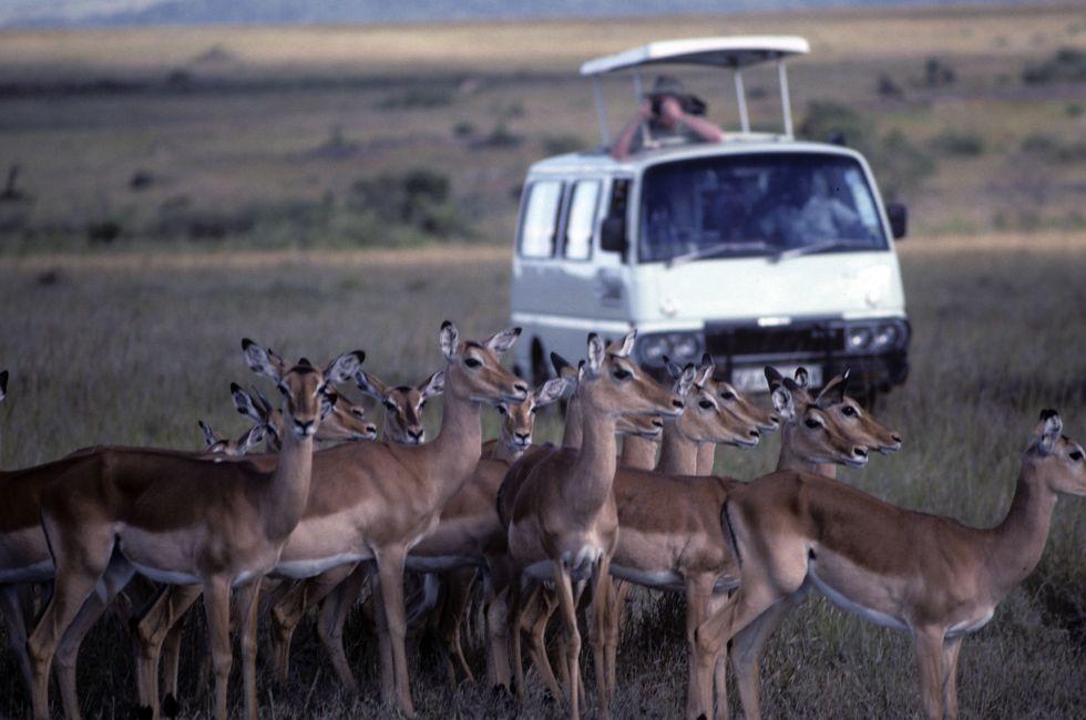 Kenya