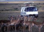 Kenya