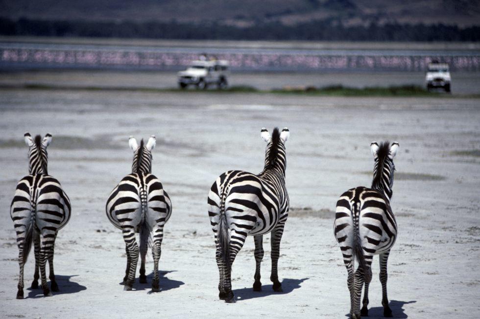 Kenya