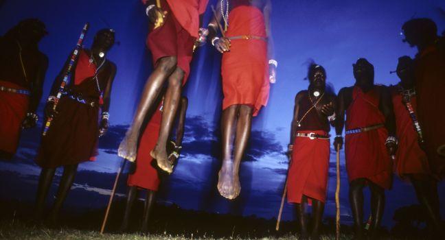 Rhythmic chanting provides a syncopated beat for the blood drinking Maasai whose traditional dance is this observational opportunity for getting a leg up on approuching wildlife.  Maasai Mara, Kenya