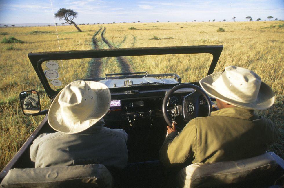 Safari, Masai Mara, Kenya, Africa
