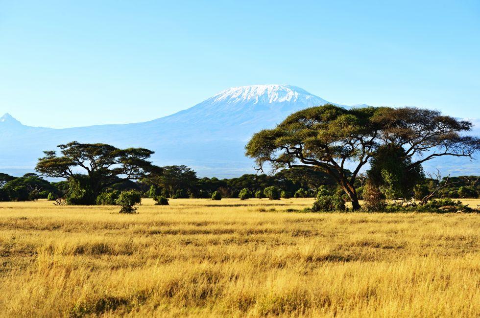 Snow on top of Mount Kilimanjaro in Amboseli 