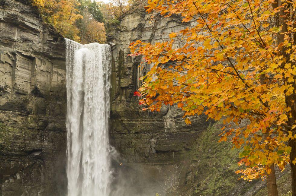 A vignette of Autumn color surrounds the top half of Taughannock Falls in Taughannock Falls State Park, NY