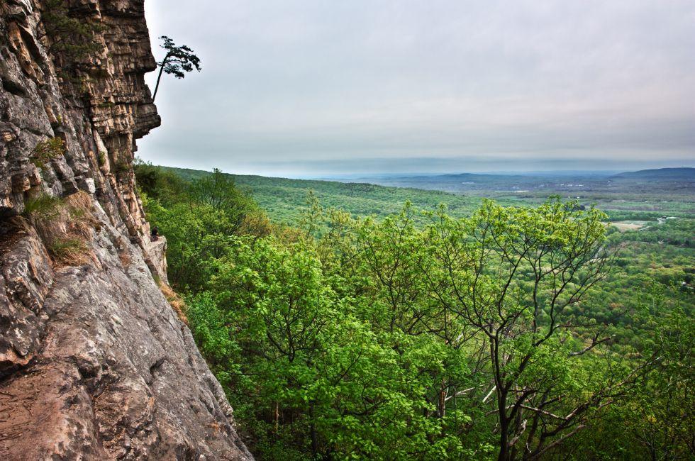 View over treetops at The Gunks, New Paltz, NY.; 