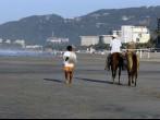 Horses on the Beach.