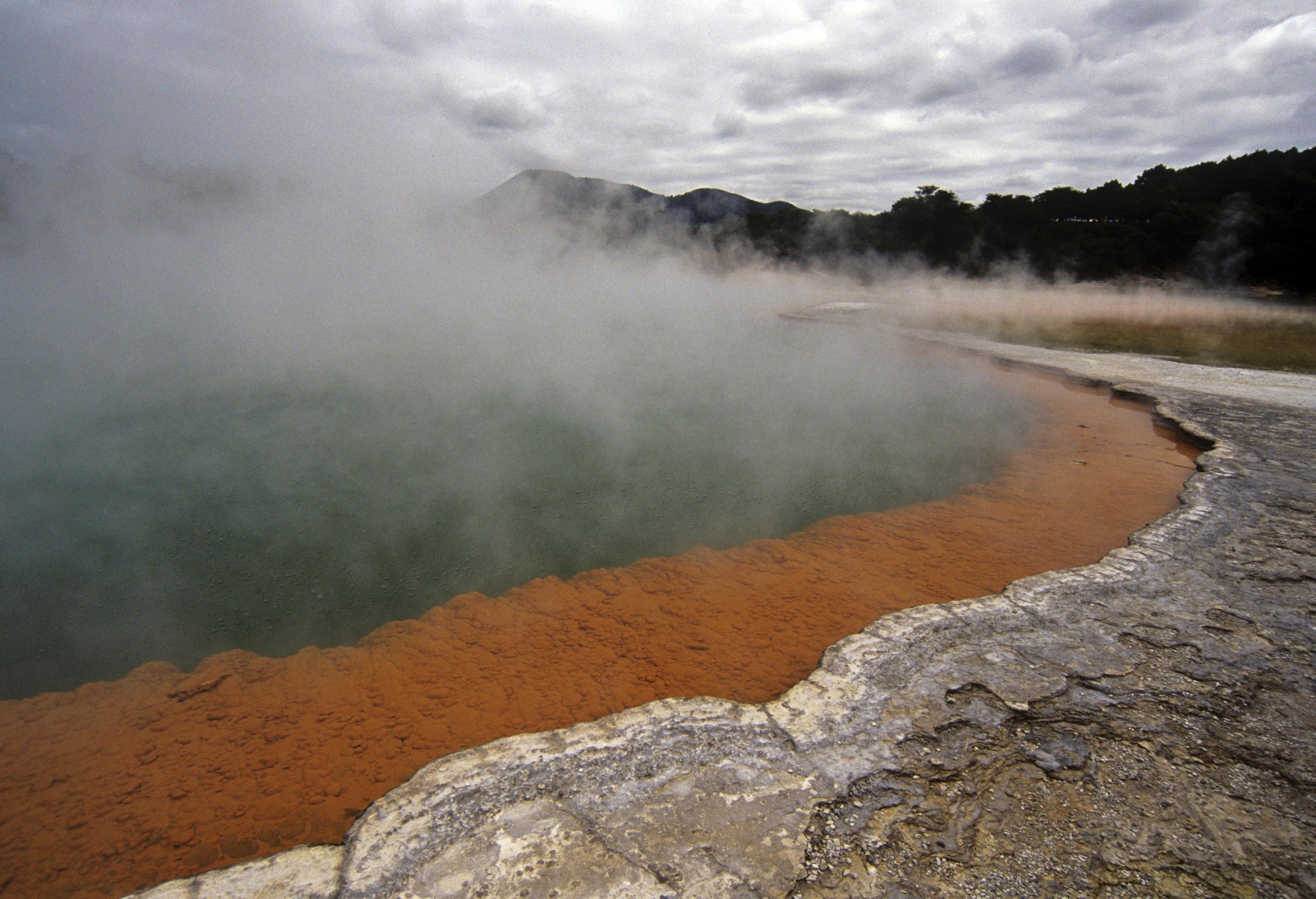 North Island's West Coast