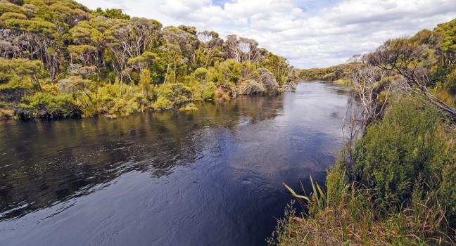 The Freshwater River on Stewart Island in New Zealand; 
