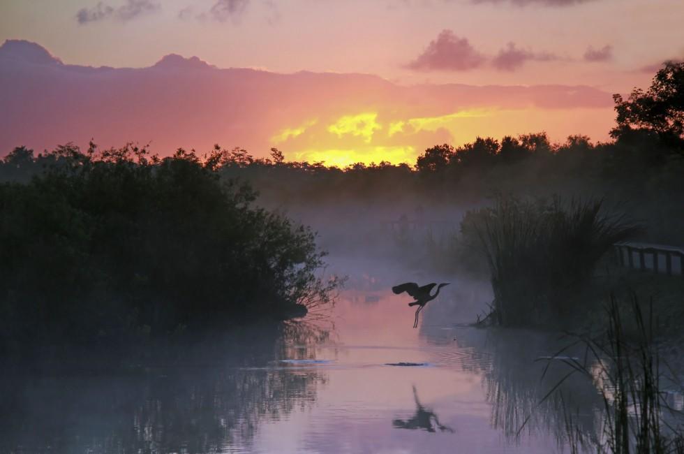 Everglades National Park at Sunrise with the Silhouette of a Flying Heron; Shutterstock ID 104417945; Project/Title: Go While You Can â In-Danger World Heritage Sites; Downloader: Melanie Marin
