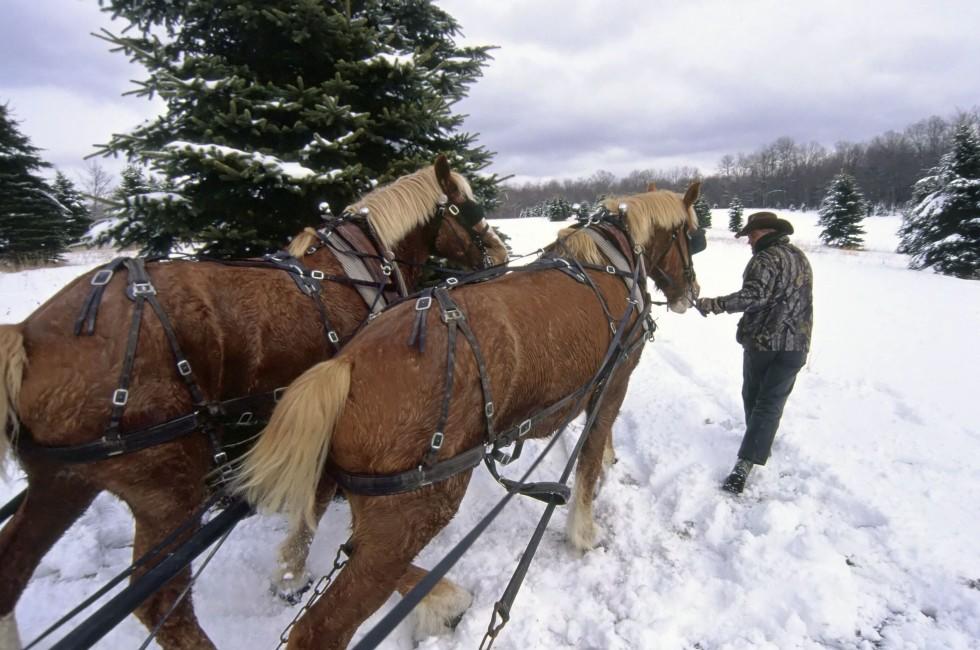 South Woodstock, Vermont