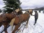South Woodstock, Vermont