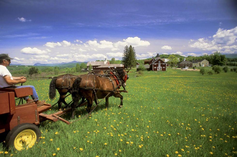 Inn at Mountain View Farm, East Burke, Vermont, USA