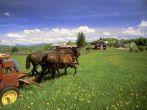 Inn at Mountain View Farm, East Burke, Vermont, USA