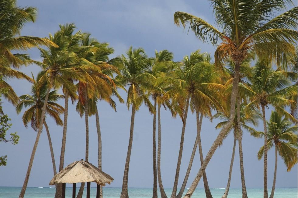 Beach at Punta Cana, Dominican Republic 