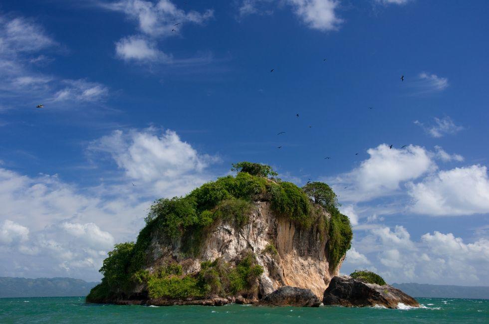 Los Haitises National Park, Bird Island, Dominican Republic