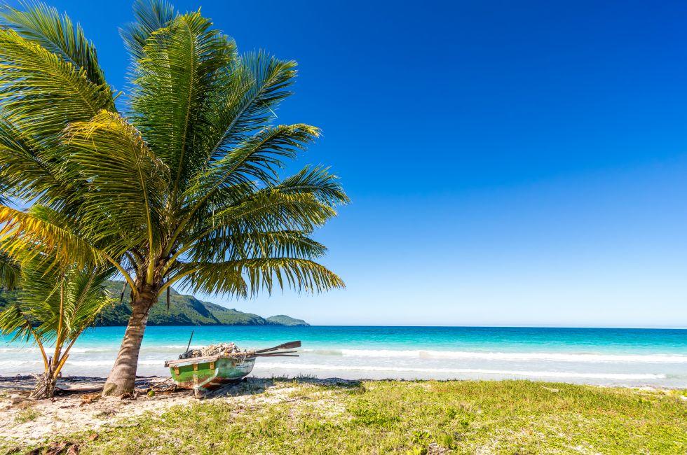 Boat by palm tree on one of the most beautiful tropical beaches in Caribbean, Playa Rincon, near Las Galeras, Dominican Republic