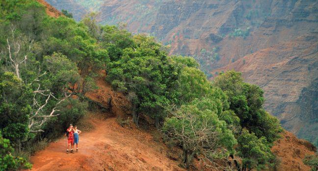 Waimea Canyon, Kauai, Hawaii