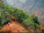 Waimea Canyon, Kauai, Hawaii