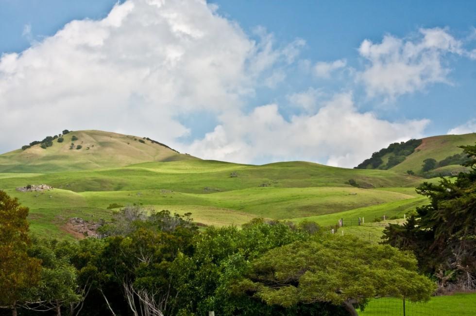 Waimea Hills.