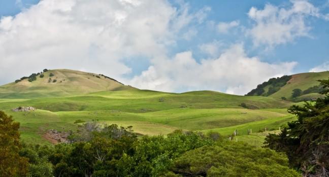 Waimea Hills.