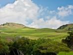 Waimea Hills.