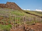 Pu'ukohola Heiau National Historic Site on Hawaii's Big Island.