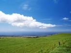 "kohala coast" of Big island.