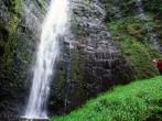 The 'Ohe'o Gulch Falls, or Seven Sacred Pools, is the small set of pools and cascades found on 'Ohe'o Gulch Stream at Haleakala National Park, at Kipahulu