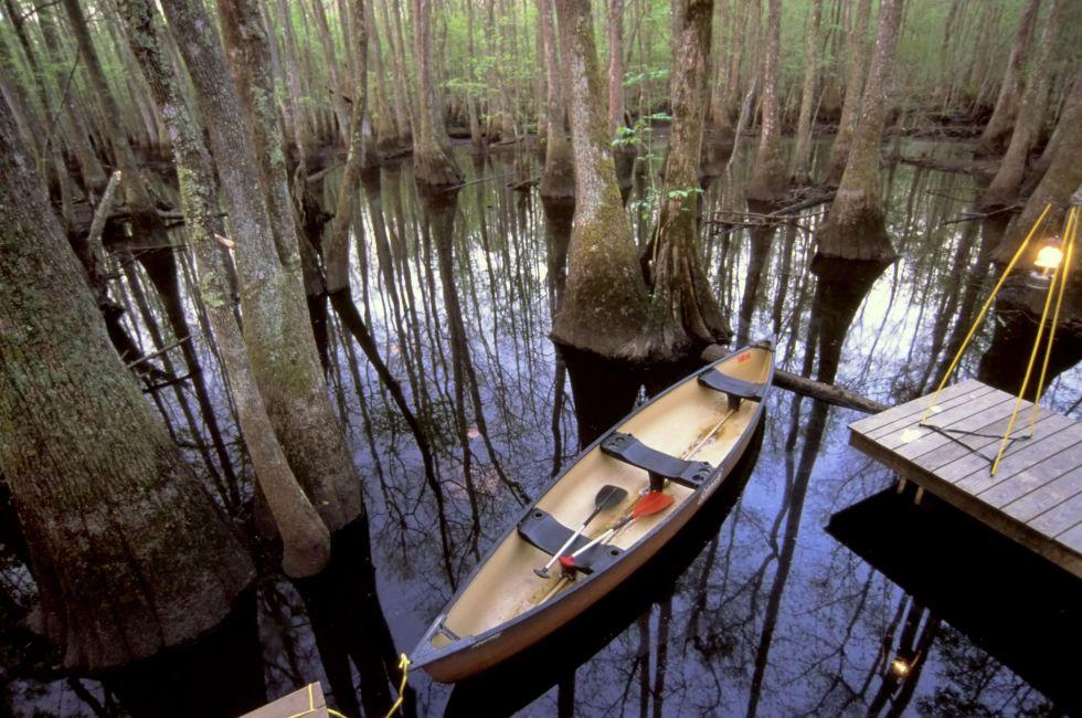 Roanoke River, North Carolina