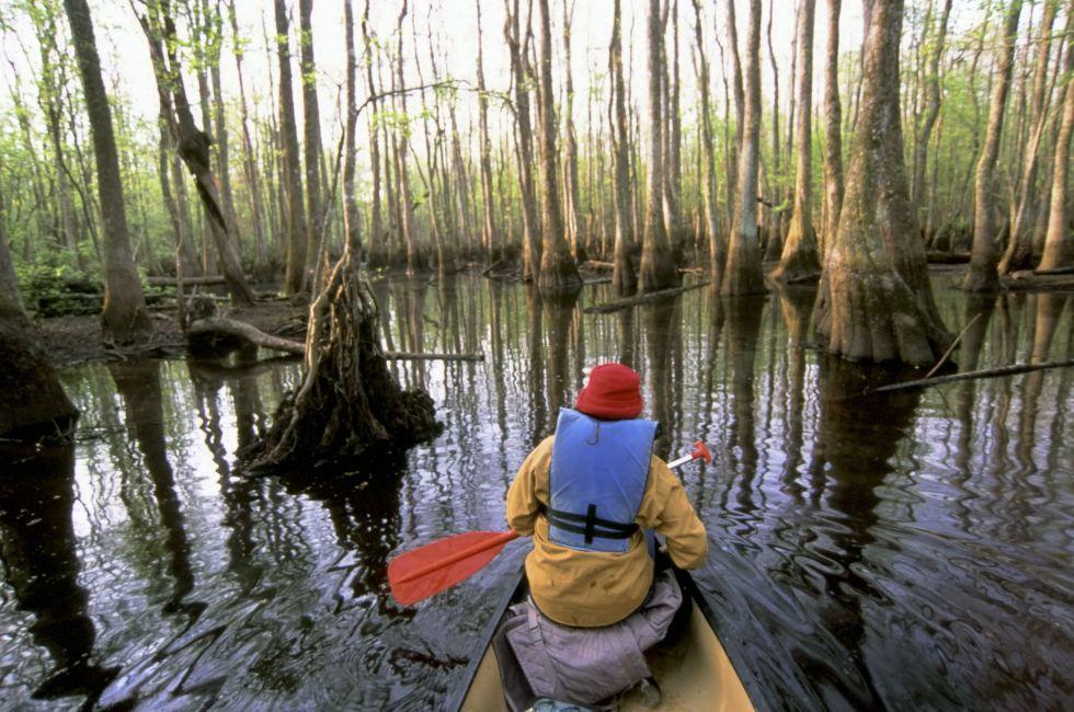 Roanoke River, North Carolina