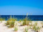 The shoreline of the Chesapeake Bay at Flag Ponds Nature park in Calvert County, Maryland.  Flag Ponds is a popular beach for fossil hunting.