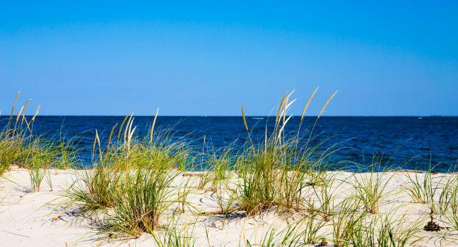 The shoreline of the Chesapeake Bay at Flag Ponds Nature park in Calvert County, Maryland.  Flag Ponds is a popular beach for fossil hunting.