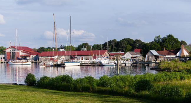 Yachts and boats in harbour of St Michaels on Chesapeake bay with heron