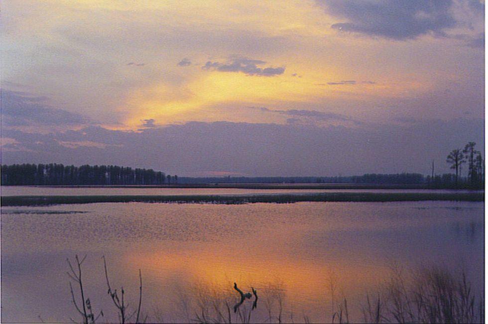 Clouds covering an evening sun-set at the Blackwater National Wildlife Refuge
