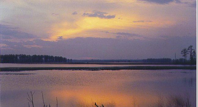Clouds covering an evening sun-set at the Blackwater National Wildlife Refuge