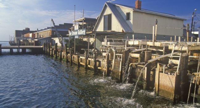 Harbor, Crisfield, Maryland