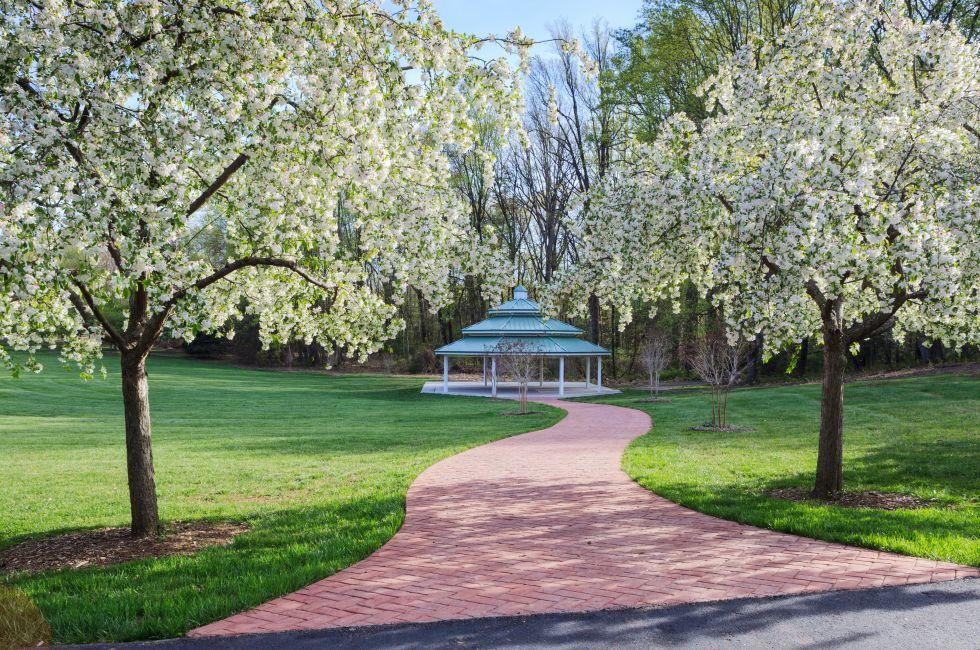 Northern Virginia regional park in spring with crab apple trees in bloom.